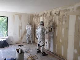 Why You Should Choose Our Mold Remediation Services in Heritage Village, CT